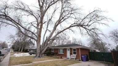 A forced eviction led to the discovery of cremated remains of 30 people