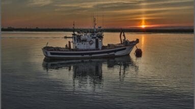 Fuel Efficiency: A Core Focus In Trawler Design