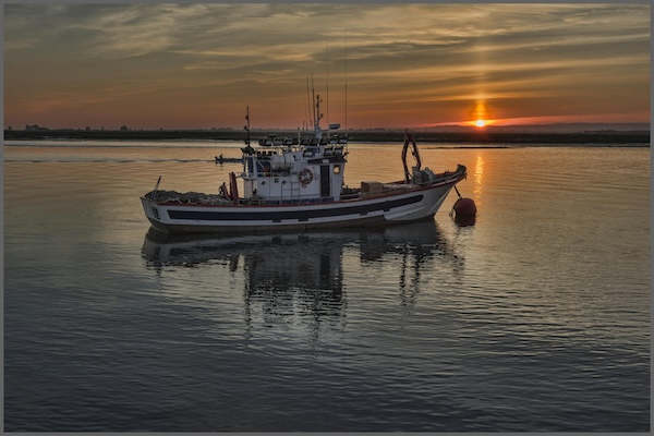 Fuel Efficiency: A Core Focus In Trawler Design