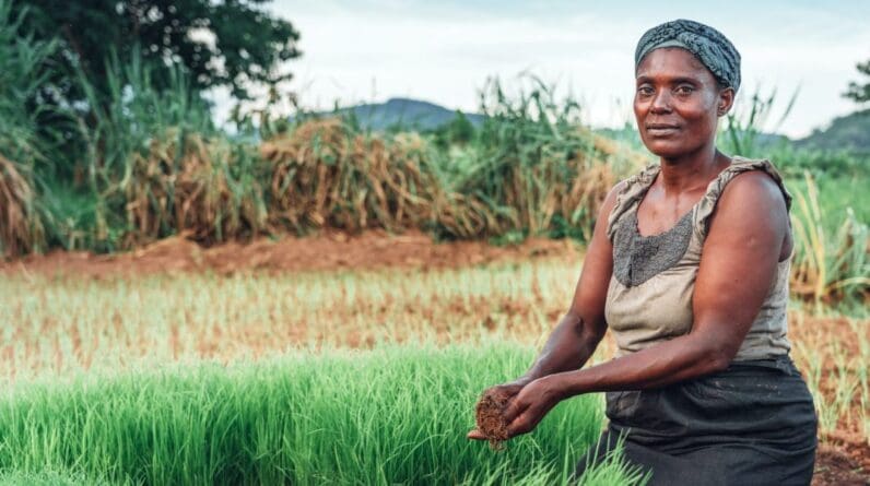 Climate change hurts women who run households in poor countries