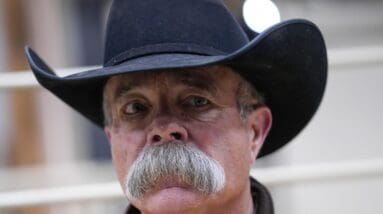 How many Texas Panhandle cows died in largest wildfire in state history