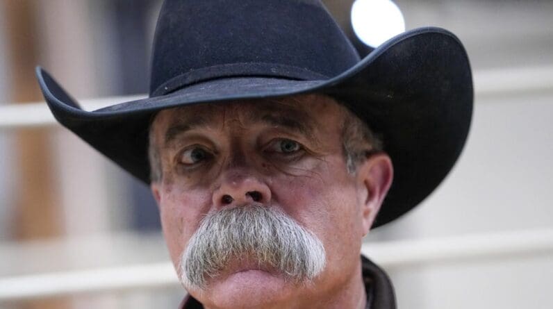 How many Texas Panhandle cows died in largest wildfire in state history