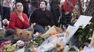 NYC’s owl mania unabated as dozens of mourners gather for funeral of Flaco the zoo escapee