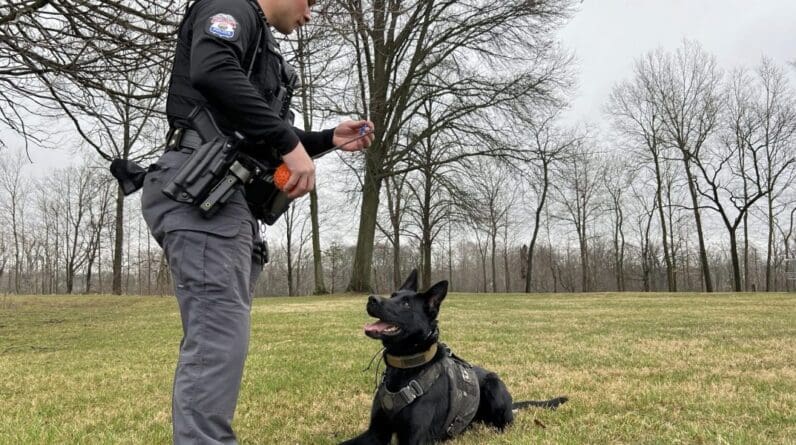 Ohio’s legalization of marijuana is putting nearly 400 police dogs out of work who can’t unlearn the smell of weed