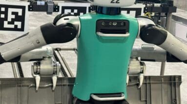 The loneliness of the robotic humanoid