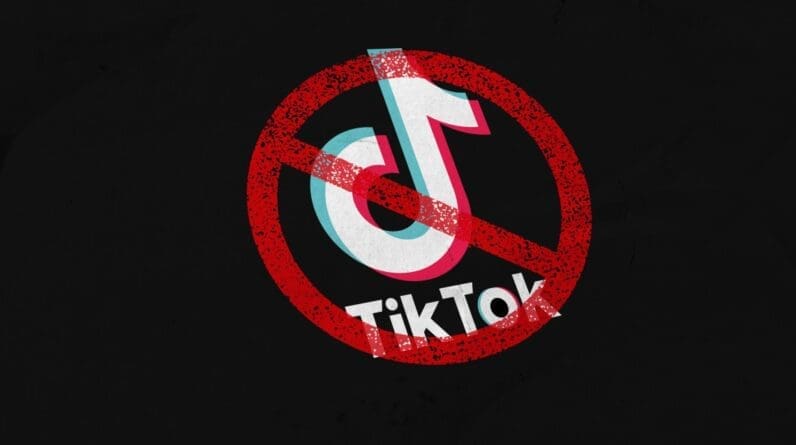 What's going on with the new bill that could ban TikTok?