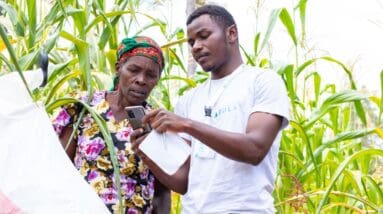 Pula raises $20M Series B to provide agricultural insurance to farmers in Africa, Asia and LatAm